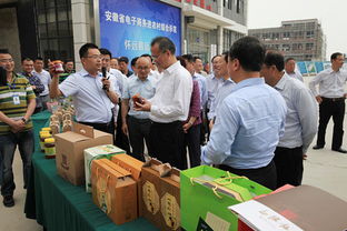 蚌埠首座电商特色创业孵化园落户怀远，汇聚电子商务新动能